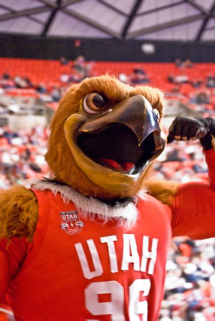 Mascot | University of Utah Women's Gymnastics - 2/22/2008 | By: HeffTech | Flickr - Photo Sharing!