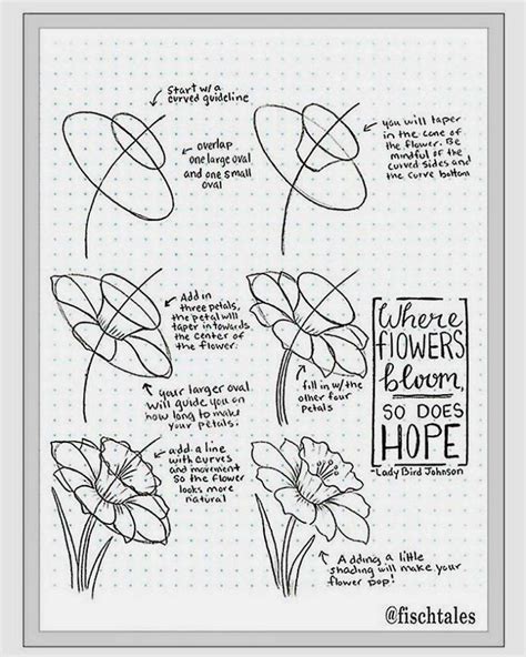 35+ Flower Drawings for Beginners- Step by Step | HARUNMUDAK