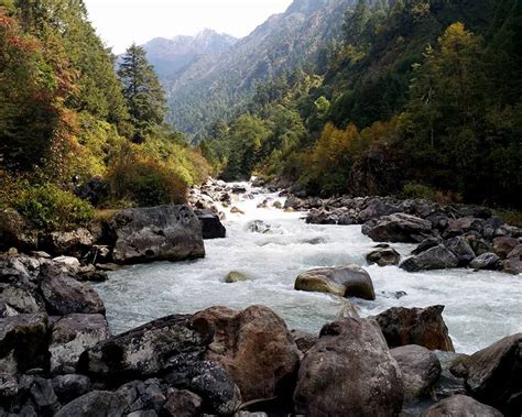 Fishing Tour in Tamor River - Alpine Himalaya