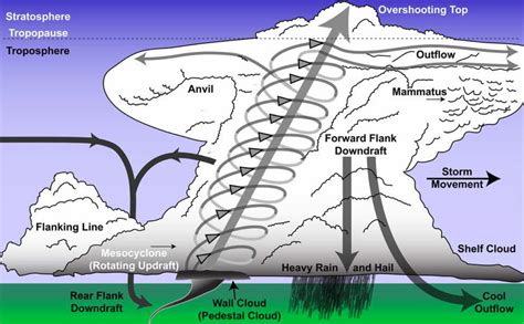 Diagram Of A Thunderstorm