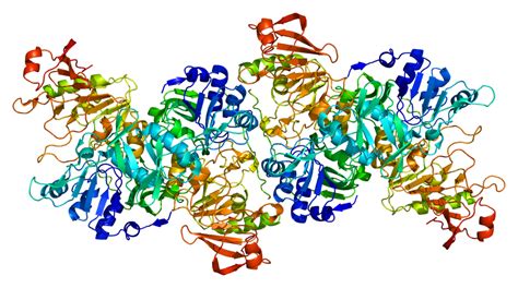 5+ Transferase Enzyme Examples: Detailed Facts – Lambda Geeks