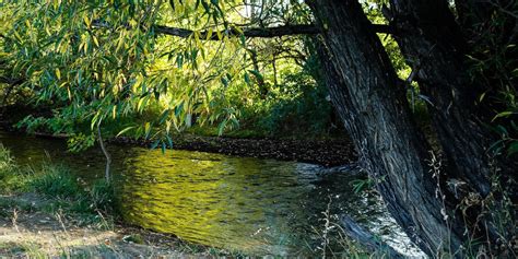 Boulder Creek – Boulder and Weld Counties, CO | Tributary to St. Vrain ...