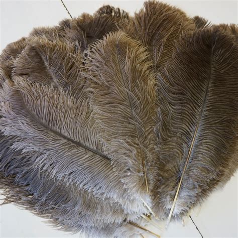 Ostrich Feathers 17-20 NATURAL 1 to 25 Pcs Ostrich - Etsy