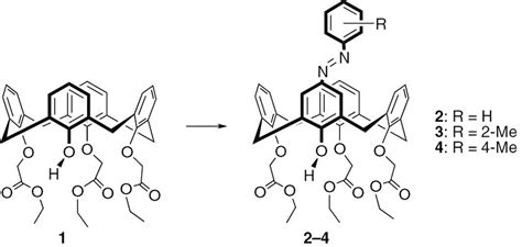 Synthesis of calix[4]arenes 2–4. Reagents and conditions: NaNO2/4N HCl,... | Download Scientific ...