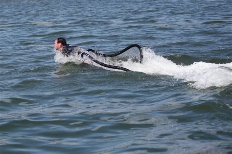 Jake Moore Photography - Weddings and Water Sports: Extreme Water Jet Pack Riding - The Flyboard ...