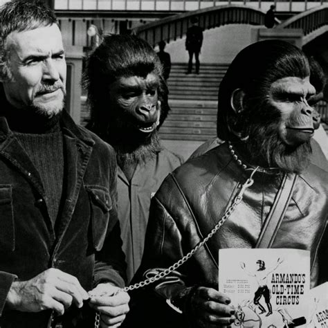 Archives Of The Apes: Conquest Of The Planet Of The Apes (1972) part 23