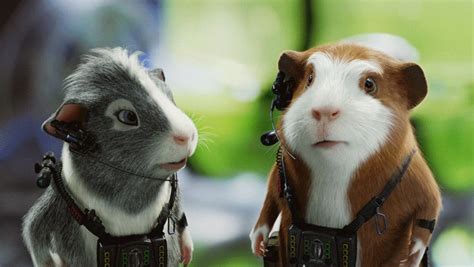 11 best G-FORCE images on Pinterest | Disney films, Disney movies and Guinea pigs