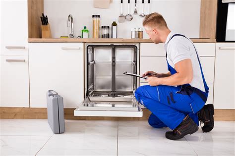 Everything to Know Before Dishwasher Installation - Blog Eternal