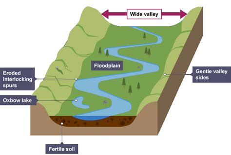 Levees | What? & Facts | A Level Geography Revision Notes