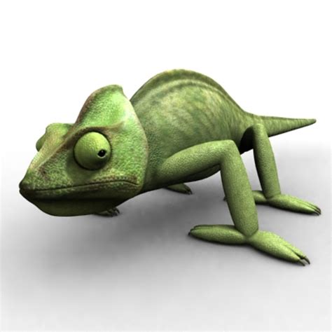 chameleon 3d model