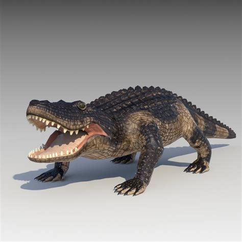 3D Alligator Models | TurboSquid