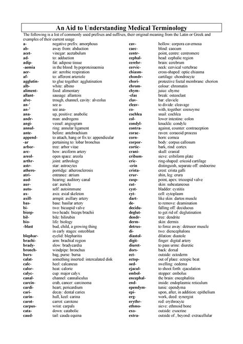 Medical Terminology - Prefixes and suffixes to understand anatomy - An ...