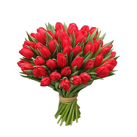 50 Red Tulips Gorgeous Bouquet | ifloweryou Flowers Delivery Lebanon