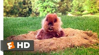 Caddyshack (1980) | Movie Scenes | Movieclips - YouTube