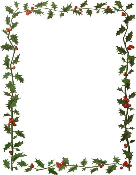 holly and berries border with white background