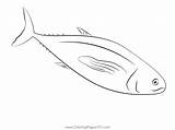 Tuna Coloring Page For Kids  Free Printable Pages Online sketch template