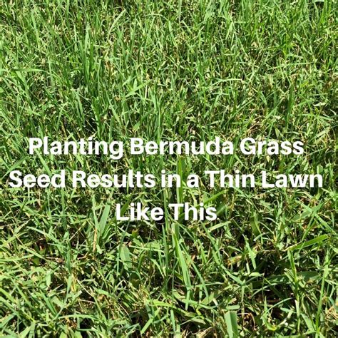 Planting Bermuda Grass Seed - Houston Grass South Video - Pearland Katy