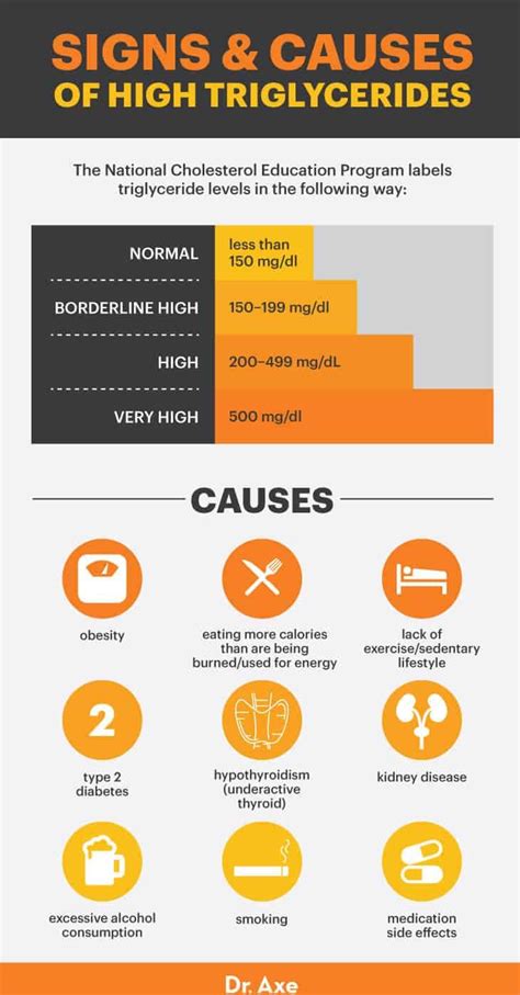 High Triglycerides: Symptoms, Causes and How to Lower - Dr. Axe