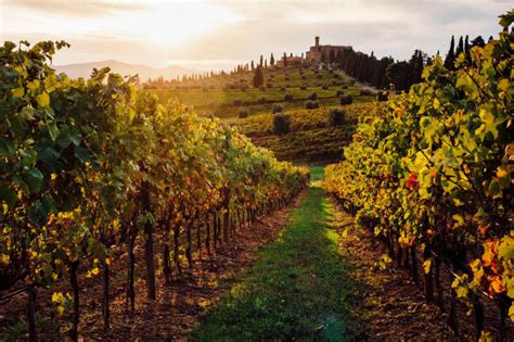 Much More than just a Wine Weekend in Montalcino | MaMaBlip