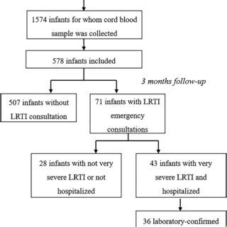 Flowchart. LRTI, lower respiratory tract infection | Download ...