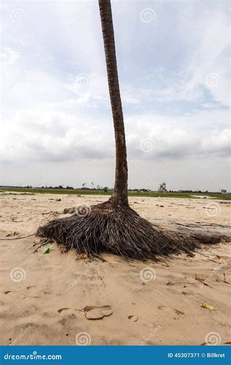 Lekki Beach in Lagos stock image. Image of swimming, sand - 45307371