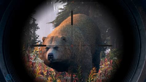 Far Cry 5 - Hunting Grizzly Bears - Open World Free Roam Gameplay (PC HD) [1080p60FPS] - YouTube