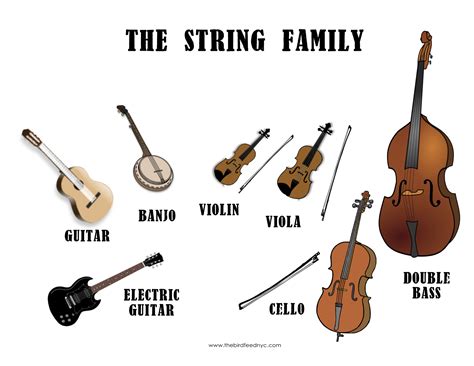 Musical Instrument Families | Instrument families, Instrument family worksheet, Musical instruments