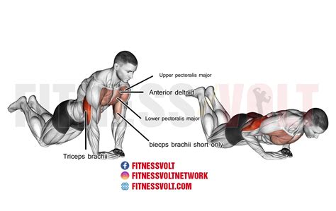 Diamond Push-Up On Knees (Triceps, Chest) | Exercise Guides and Videos ...