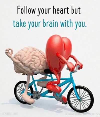 Heart And Brain Quotes Images - It would be much better to turn your ...