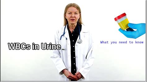 WBC in Urine (Pyuria) - Symptoms, Causes, Treatment - YouTube