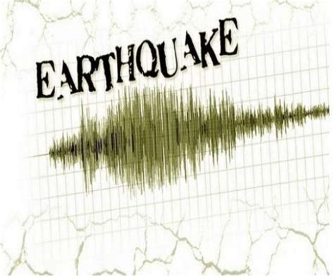 Earthquake rocks Assam's Guwahati and other parts of northeast India