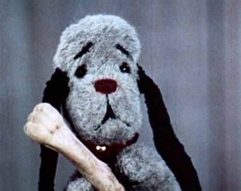 Sweep | Sooty Database Wiki | Fandom