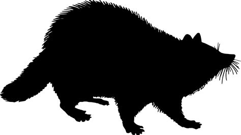 Raccoon Silhouette Vector at Vectorified.com | Collection of Raccoon Silhouette Vector free for ...