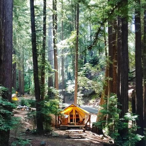 Redwood Forest Camping - Ventana Campground | Camping In The Big Sur ...