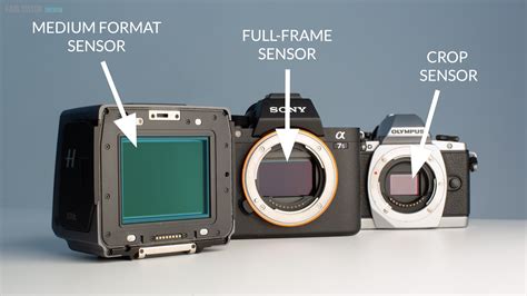 What To Consider When Buying a Camera: DSLR, Mirrorless, Medium Format, Full Frame, Crop Sensor?