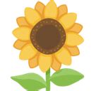 🌻 Sunflower Emoji Meaning with Pictures: from A to Z