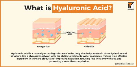 Hyaluronic Acid Powder | Its Uses, Benefits and Side Effects