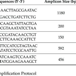 Oligonucleotide primers used for the identification of H. influenzae... | Download Scientific ...