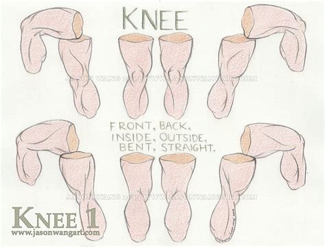 Exercise 33: Knees - CG Cookie