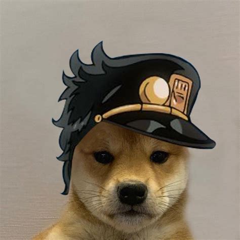 jotaro dogwifhat pfp | Jojo's bizarre adventure anime, Jojo anime, Dog icon