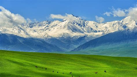 Wallpaper : pegunungan, kuda, puncak bersalju, Kazakhstan, awan-awan ...