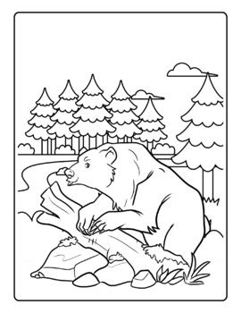 Mountain Animals Coloring Pages by Qetsy | TPT