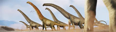 Argentinosaurus Vs Brachiosaurus