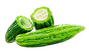 ampalaya clipart 20 free Cliparts | Download images on Clipground 2024