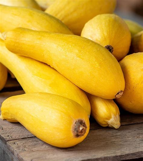 Benefits Of Yellow Squash, Nutrition Facts, Recipes, & Storage