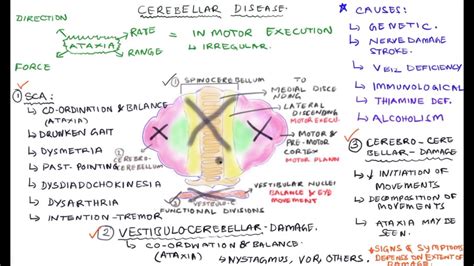 Cerebellar Disease / Cerebellar Lesions - YouTube