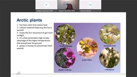 Plants adaptations to the Arctic climate - YouTube