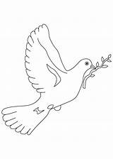 Dove A Symbol Of peace coloring Page sketch template