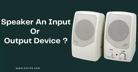 Is A Speaker An Input Or Output Devices In Computer System