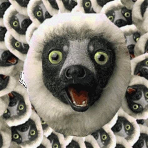 zoboomafoo theme : UnexpectedCena